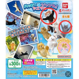 バンダイ(BANDAI)のハッピージャンプアニマル　ネコ(グレー)、レッサーパンダ(その他)