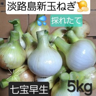 淡路島新玉ねぎ🧅七宝早生5kg(野菜)