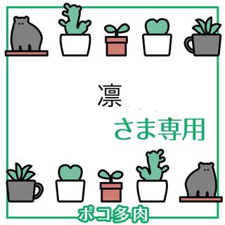 凛さま専用　ポコ多肉植物おまとめ韓国苗(その他)