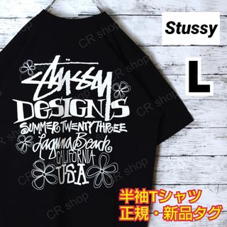 ステューシー(STUSSY)の【ステューシー】正規・新品タグ　LBバックデザイン　黒　L　Tシャツ(Tシャツ/カットソー(半袖/袖なし))