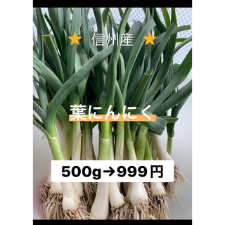 葉にんにく（小）500g 長野県産　信州　産地直送(野菜)