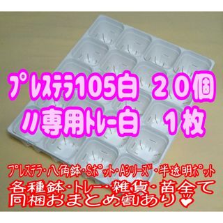 【スリット鉢】プレステラ105白20個＋専用システムトレー白1枚 プラ鉢多肉植物(プランター)