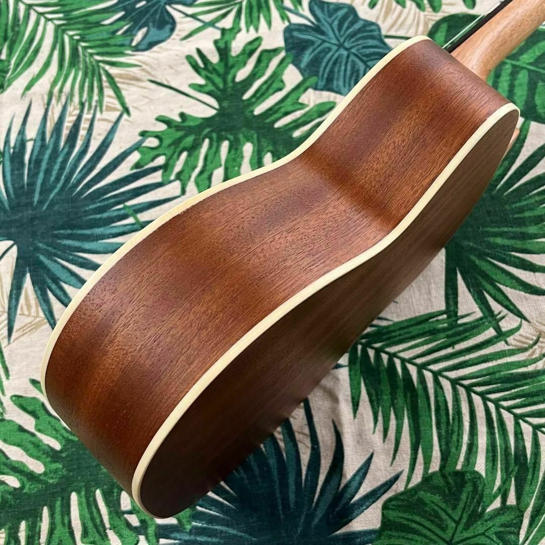 【music ukulele】ハートが可愛いエレキ・コンサートウクレレ【セット】 楽器のウクレレ(コンサートウクレレ)の商品写真