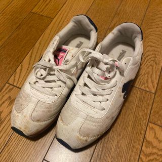 PUMA - プーマPUMA スニーカー 24.5㎝