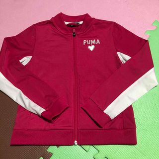 PUMA - puma ジャージ上のみ