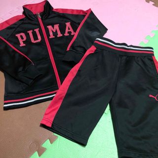 puma ジャージ上下