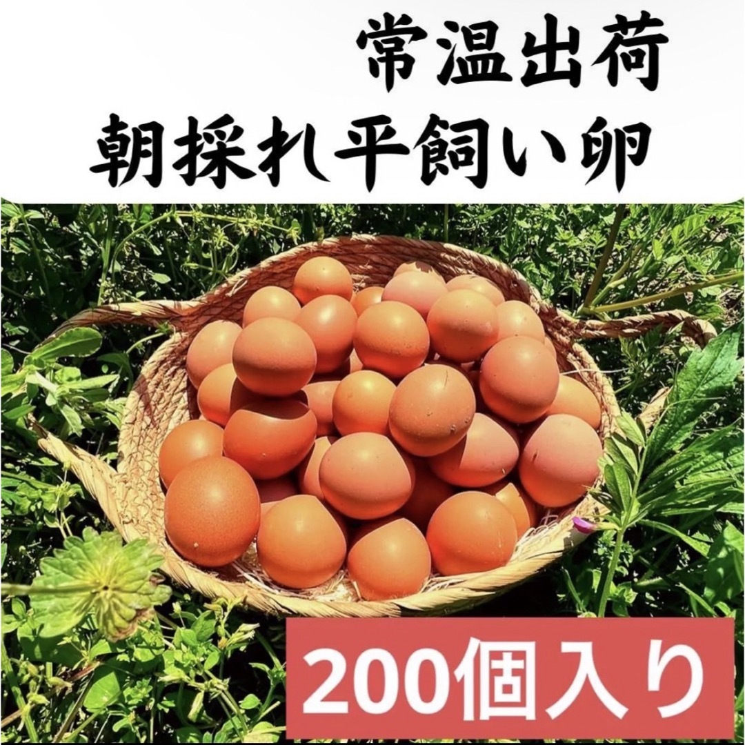 200個入り　佐伯養鶏場の朝採れ平飼い卵 食品/飲料/酒の食品(その他)の商品写真