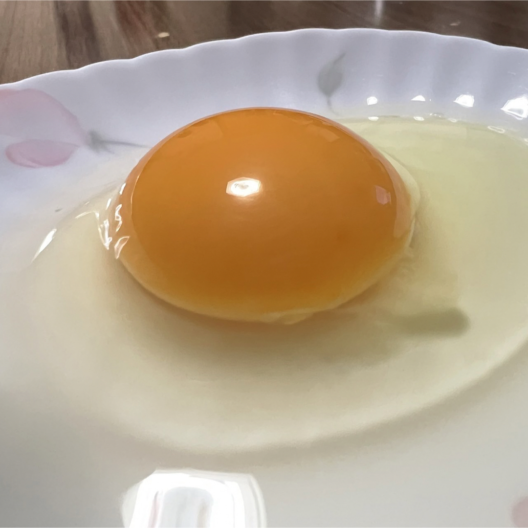 200個入り 佐伯養鶏場の朝採れ平飼い卵 食品 200個入り 佐伯養鶏場の朝採れ平飼い卵 食品
