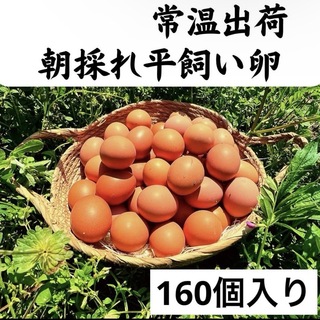 160個入り　佐伯養鶏場の朝採れ平飼い卵(その他)