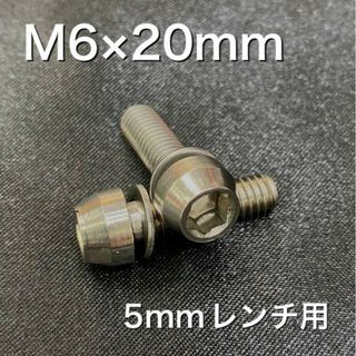 ADEPT ステム用ステンレス製ボルト（M6×20mm 2本セット）(パーツ)