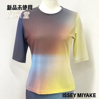 イッセイミヤケ(ISSEY MIYAKE)のイッセイミヤケ　ISSEY MIYAKE LIGHT LEAK シャツ　トップス(Tシャツ/カットソー(半袖/袖なし))