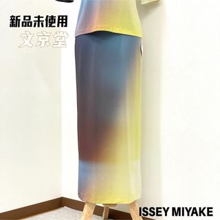 イッセイミヤケ(ISSEY MIYAKE)のイッセイミヤケ　ISSEY MIYAKE LIGHT LEAK スカート(ロングスカート)