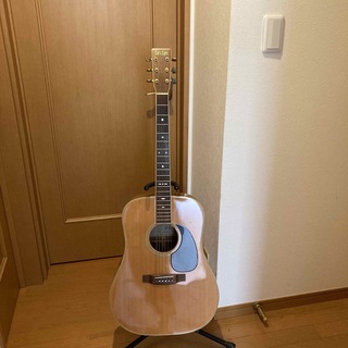 キャッツアイCE-500 アコースティックギター(アコースティックギター)