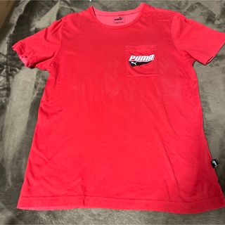 プーマ(PUMA)のプーマ　Ｔシャツ　Mサイズ(Tシャツ/カットソー(半袖/袖なし))