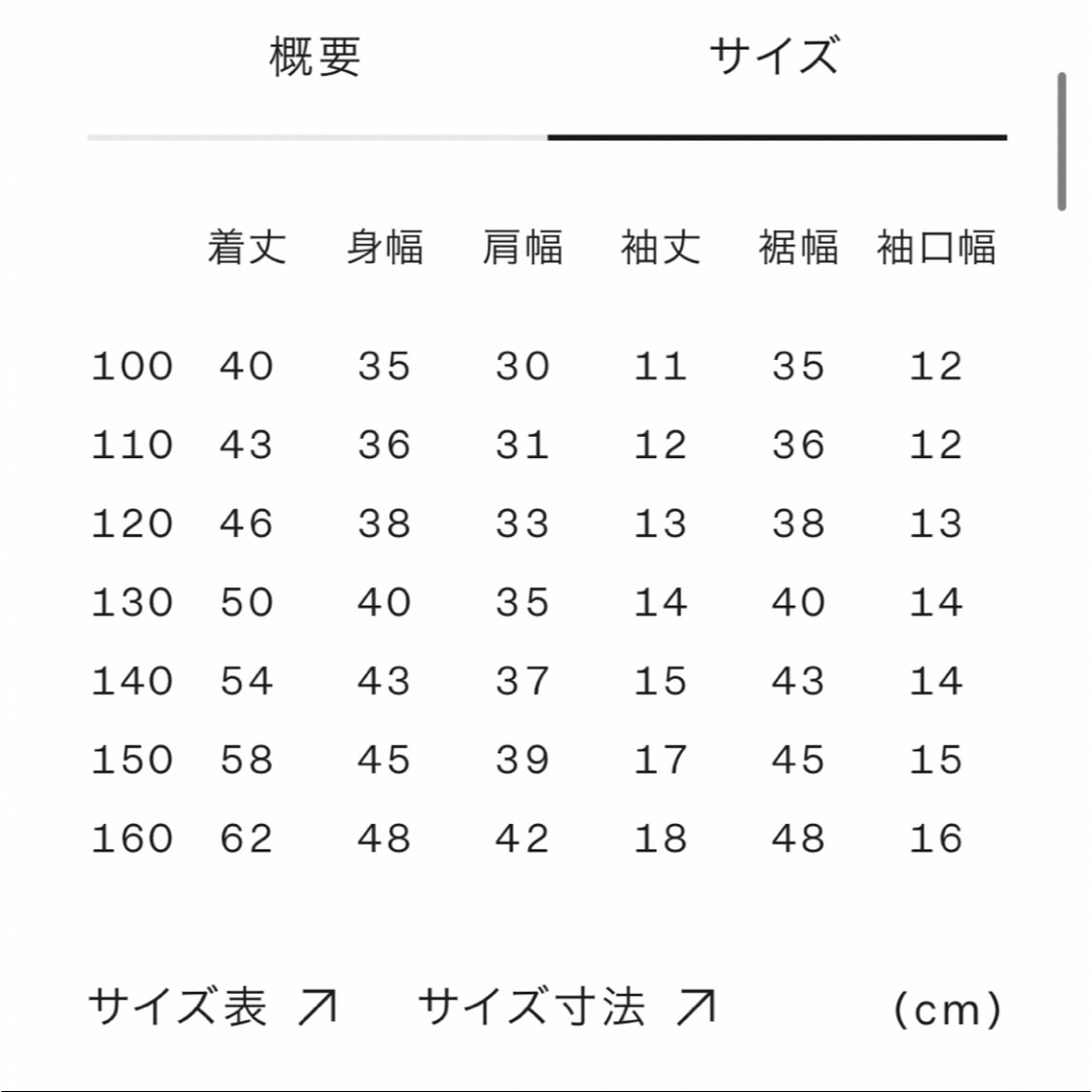 THE NORTH FACE(ザノースフェイス)のノースフェイス【SHIRETOKO】ショートスリーブシレトコトコティー・Tシャツ キッズ/ベビー/マタニティのキッズ服男の子用(90cm~)(Tシャツ/カットソー)の商品写真