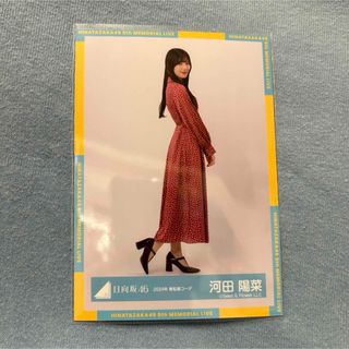 ヒナタザカフォーティーシックス(日向坂46)の河田陽菜　生写真　ヒキ(アイドルグッズ)