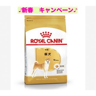 ロイヤルカナン(ROYAL CANIN)のロイヤルカナン　柴犬成犬用8kg (ペットフード)