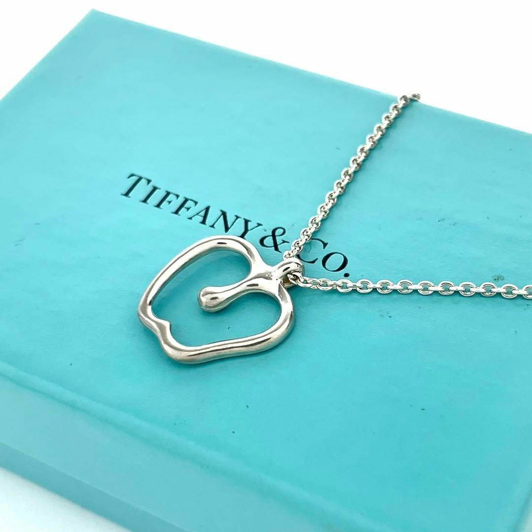 Tiffany & Co.(ティファニー)の研磨済　ティファニー　エルサペレッティ　アップル　ネックレス　シルバー　りんご レディースのアクセサリー(ネックレス)の商品写真