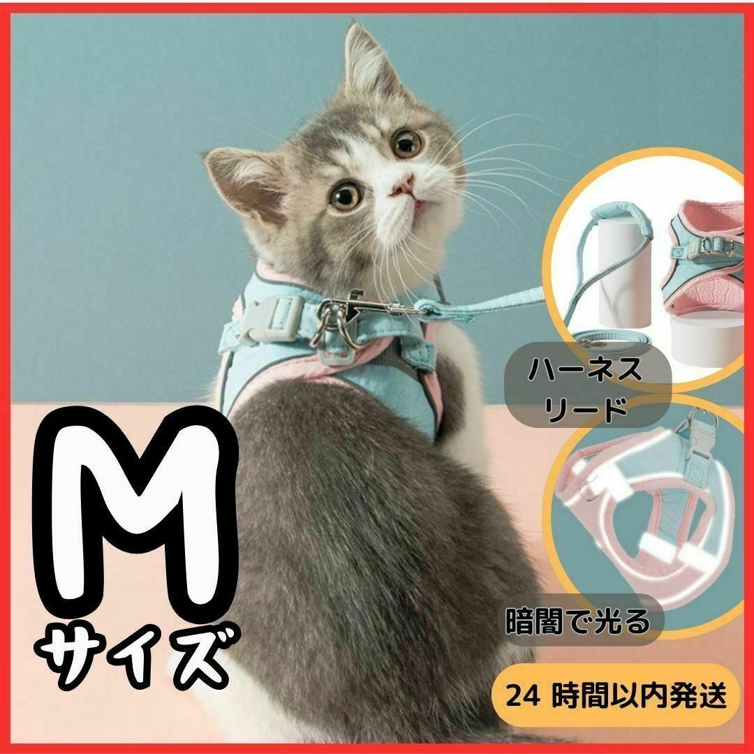 猫 猫用 ハーネス 胴輪 リード 散歩 ピンク ブルー 小型犬 うさぎ ペット その他のペット用品(猫)の商品写真