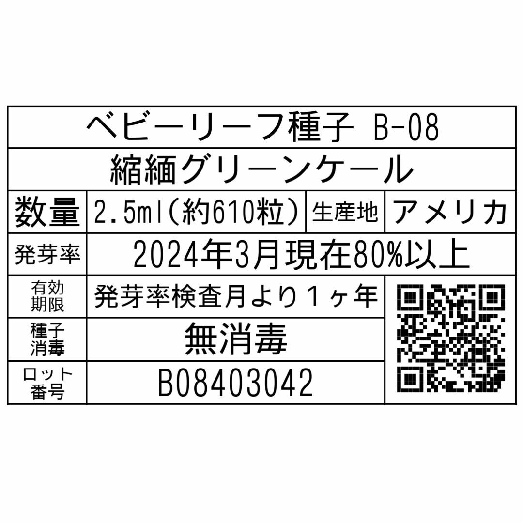 ベビーリーフ種子 B-08 縮緬グリーンケール 2.5ml 約610粒 x 2袋 食品/飲料/酒の食品(野菜)の商品写真