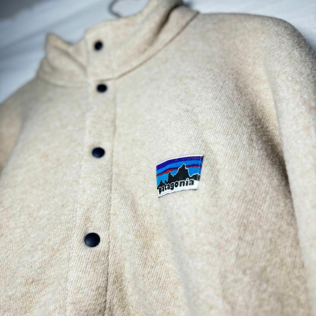 patagonia(パタゴニア)のパタゴニア ナチュラル ブレンド スナップT プルオーバー 50周年 Lサイズ メンズのトップス(その他)の商品写真