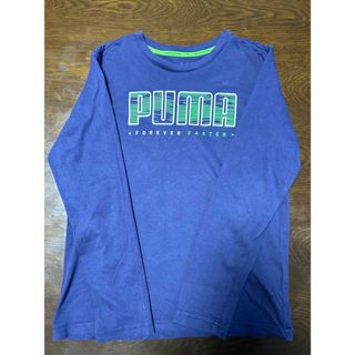 プーマ ACTIVE_SPORTS_LS_Tシャツ 846500 色 : PUM