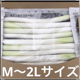 不揃いカットネギ　　　A4サイズ(野菜)