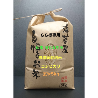 らら様専用 無農薬コシヒカリ玄米5kg 令和5年産(米/穀物)
