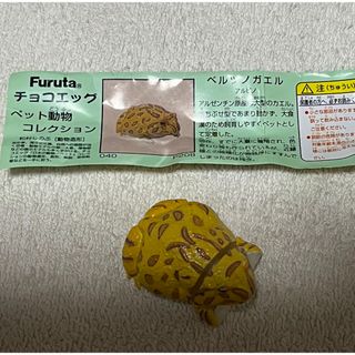 カイヨウドウ(海洋堂)のベルツノガエル　アルビノ　チョコエッグ　ペット動物コレクション　フルタ(その他)