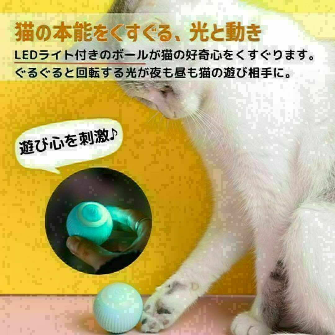猫おもちゃ 猫じゃらし 電動ボール 猫オモチャ ペット留守番 USB充電式 子猫 その他のペット用品(猫)の商品写真