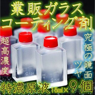 ガラス系コーティング剤 疎水 液体ガラス 防雪 UVカット特濃原液 ロットMNB(メンテナンス用品)