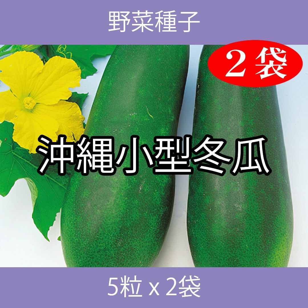 野菜種子 EAO 沖縄小型冬瓜 5粒 x 2袋 食品/飲料/酒の食品(野菜)の商品写真