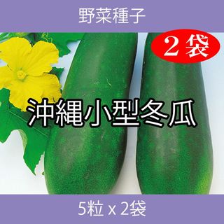 野菜種子 EAO 沖縄小型冬瓜 5粒 x 2袋(野菜)