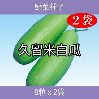 野菜種子 EBF 久留米白瓜 8粒 x 2袋(野菜)