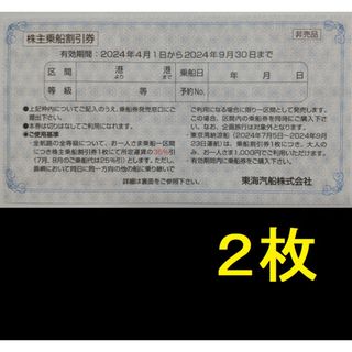 東海汽船 株主優待券 2枚 2024年9月期限(その他)