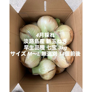 兵庫県 淡路島産 4月採れ 新玉ねぎ M～L 3kg早生品種 七宝 14個前後(野菜)