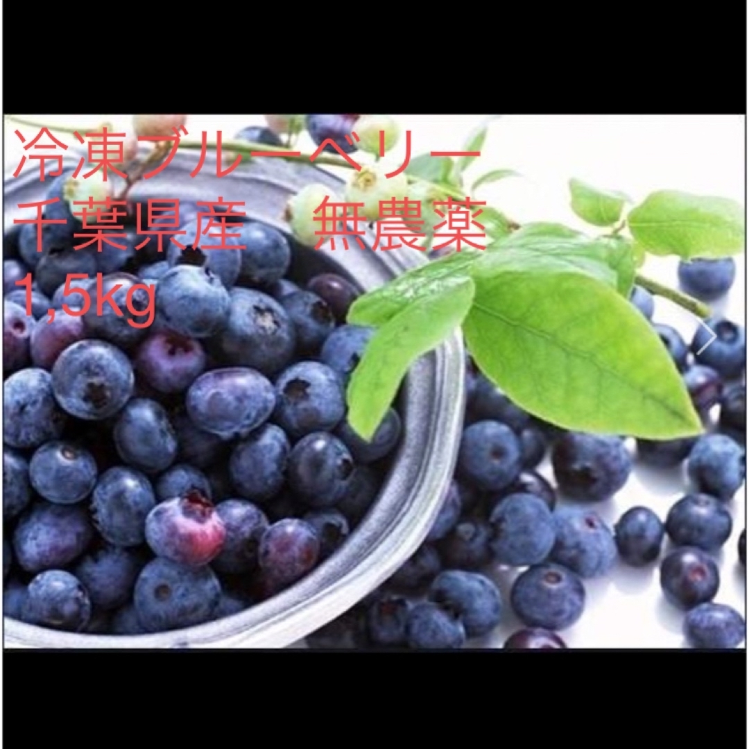 冷凍ブルーベリー　千葉県産　無農薬　1.5kg 食品/飲料/酒の食品(フルーツ)の商品写真