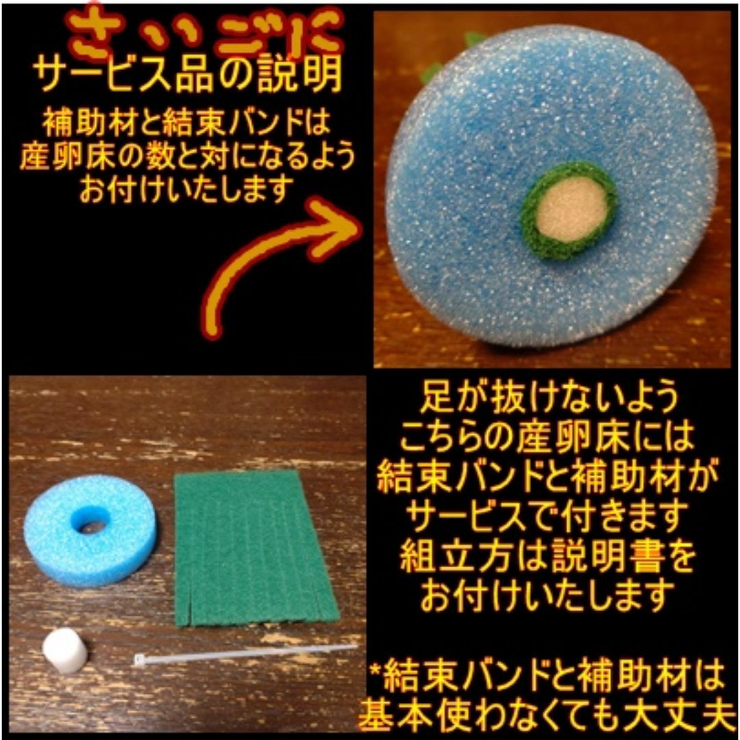 メダカ　産卵床(青)　※研磨剤不使用 その他のペット用品(アクアリウム)の商品写真