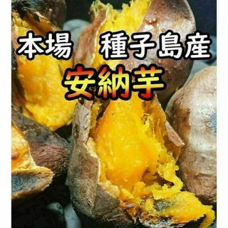 【本場種子島産】完熟！ねっとり！安納芋紅プチサイズ 　20キロ【K-GAP取得】(野菜)