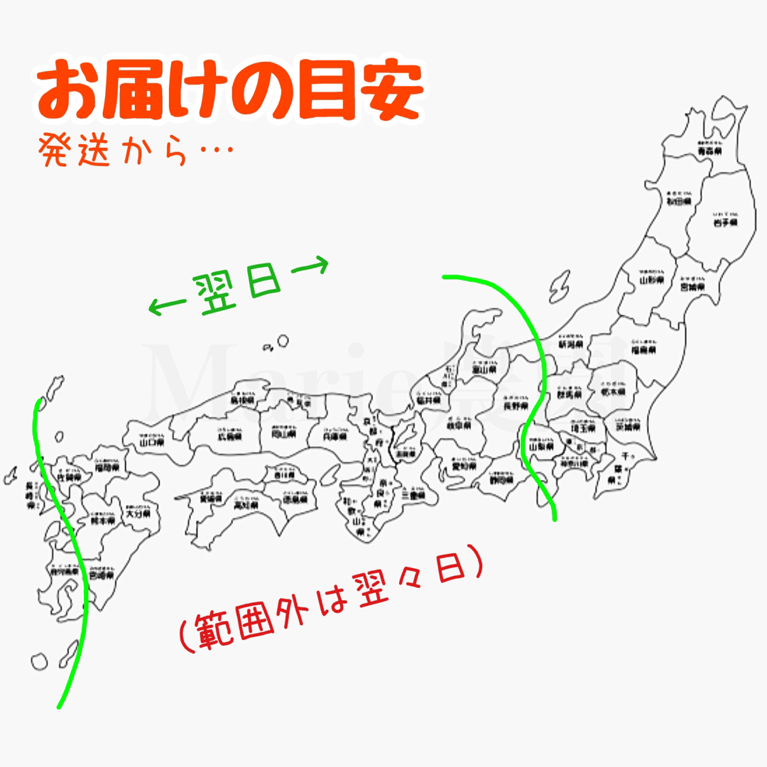 【規格外】洋にんじん　8kg　春　ハウスニンジン　人参　野菜　産地直送　期間限定 食品/飲料/酒の食品(野菜)の商品写真