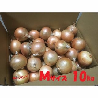 北海道産　タマネギ　Ｍサイズ　10kg　農家直送(野菜)