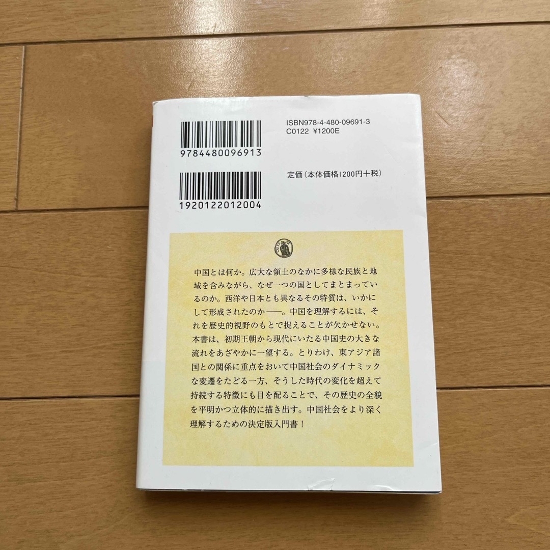 中国の歴史 エンタメ/ホビーの本(その他)の商品写真