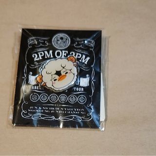 トゥーピーエム(2PM)の2PMジュノピンバッジ(アイドルグッズ)