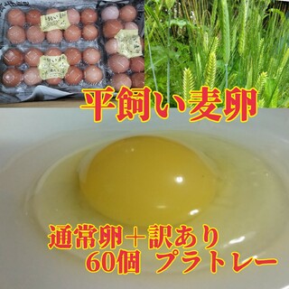 平飼い麦卵 通常卵ML＋訳あり 60個(野菜)