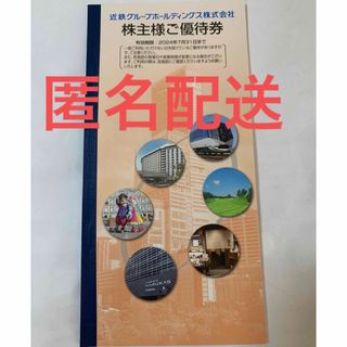 近鉄グループ　株主優待券　1冊(その他)