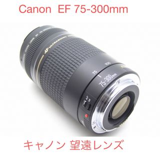 Canon - 望遠レンズ　キャノン　Canon  EF 75-300㎜ 