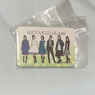 欅坂46 缶バッジ 1期