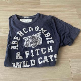 アバクロンビーアンドフィッチ(Abercrombie&Fitch)のアバクロ　グレー　半袖Tシャツ(Tシャツ/カットソー(半袖/袖なし))