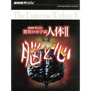 ＮＨＫスペシャル　驚異の小宇宙　人体Ⅱ　脳と心　ＤＶＤ－ＢＯＸ(ドキュメンタリー)