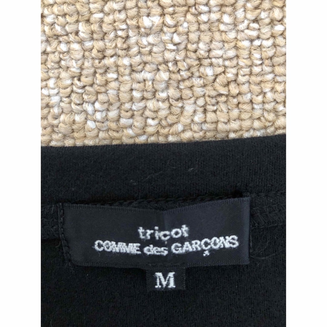 COMME des GARCONS(コムデギャルソン)のレディーストップス レディースのトップス(カットソー(長袖/七分))の商品写真